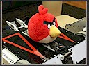 Robot Battles photos